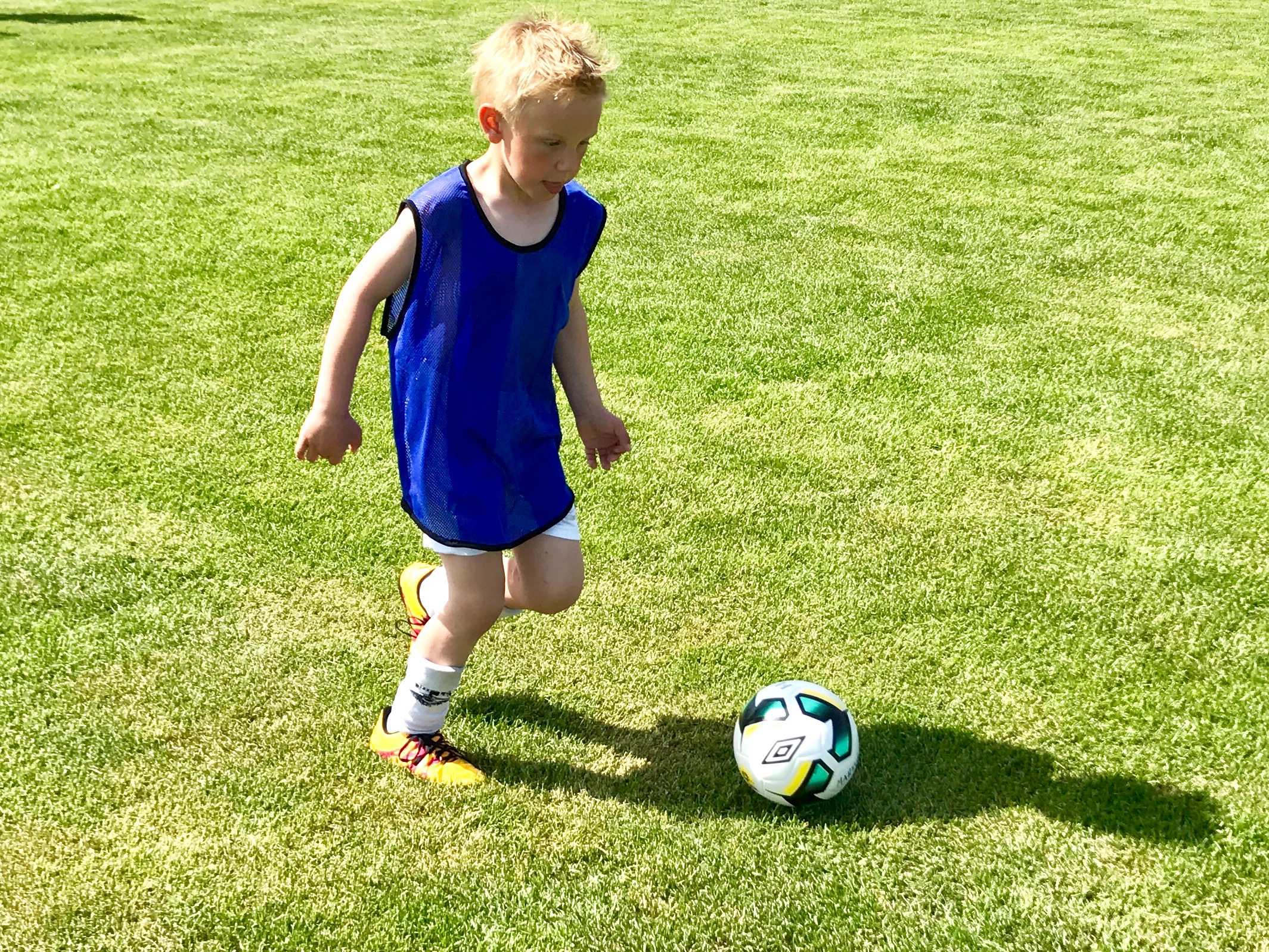 Fil 27.05.2017, 21.03.59